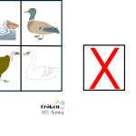 Vilken bild ska bort? fåglar - bild 6