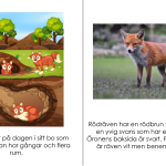 Bok om räven - bild 3