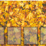 Färgsortering utan tema - bild 6