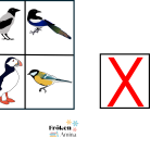 Vilken bild ska bort? fåglar - bild 4