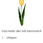 Tipspromenadsfrågor 2 - bild 2