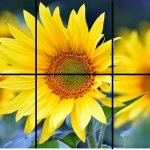 Pussel 6 bitar – sommar - bild 3