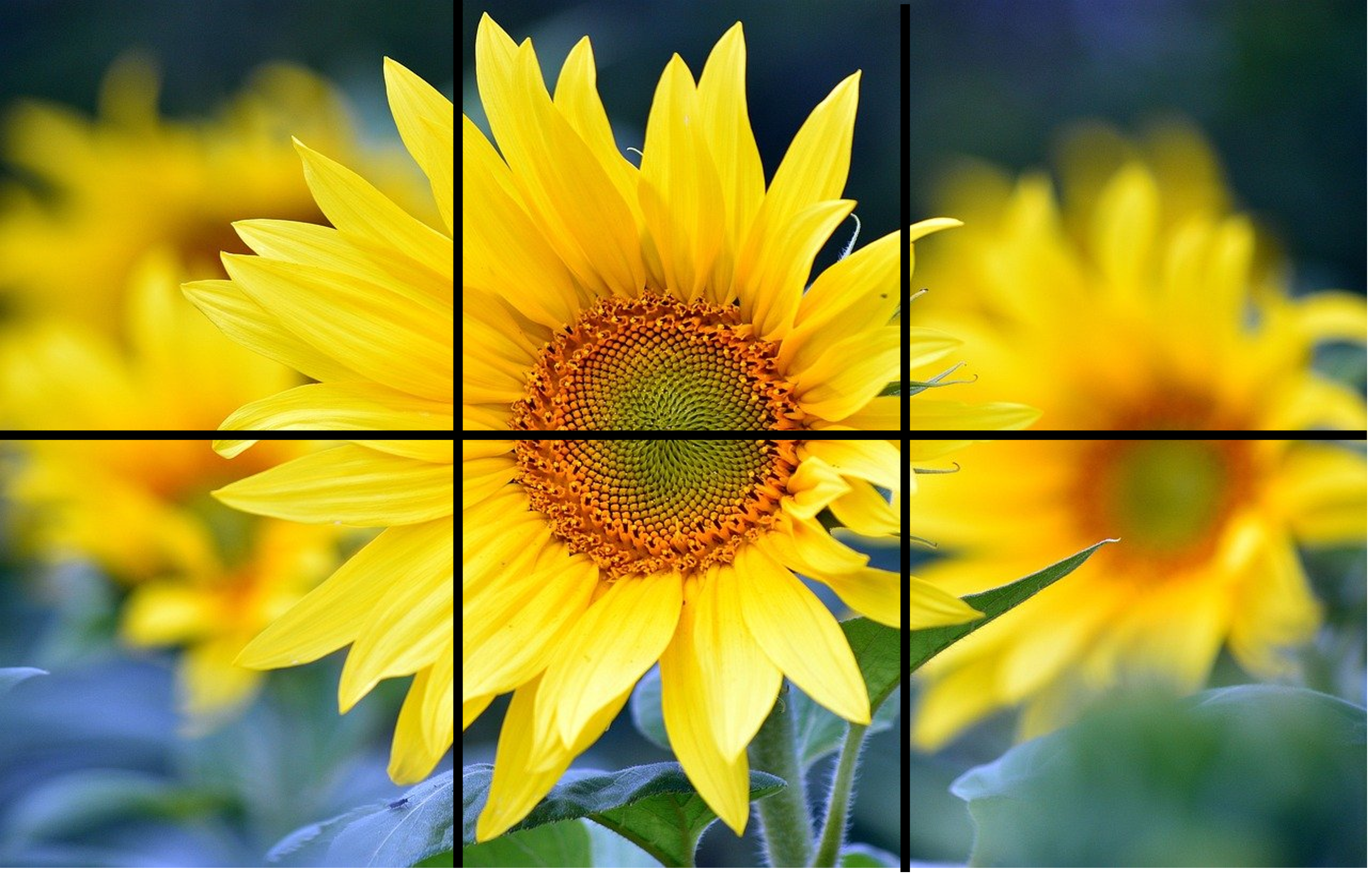 Pussel 6 bitar - sommar