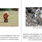 Bok om räven - bild 5