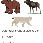 Tipspromenadsfrågor 2 - bild 5