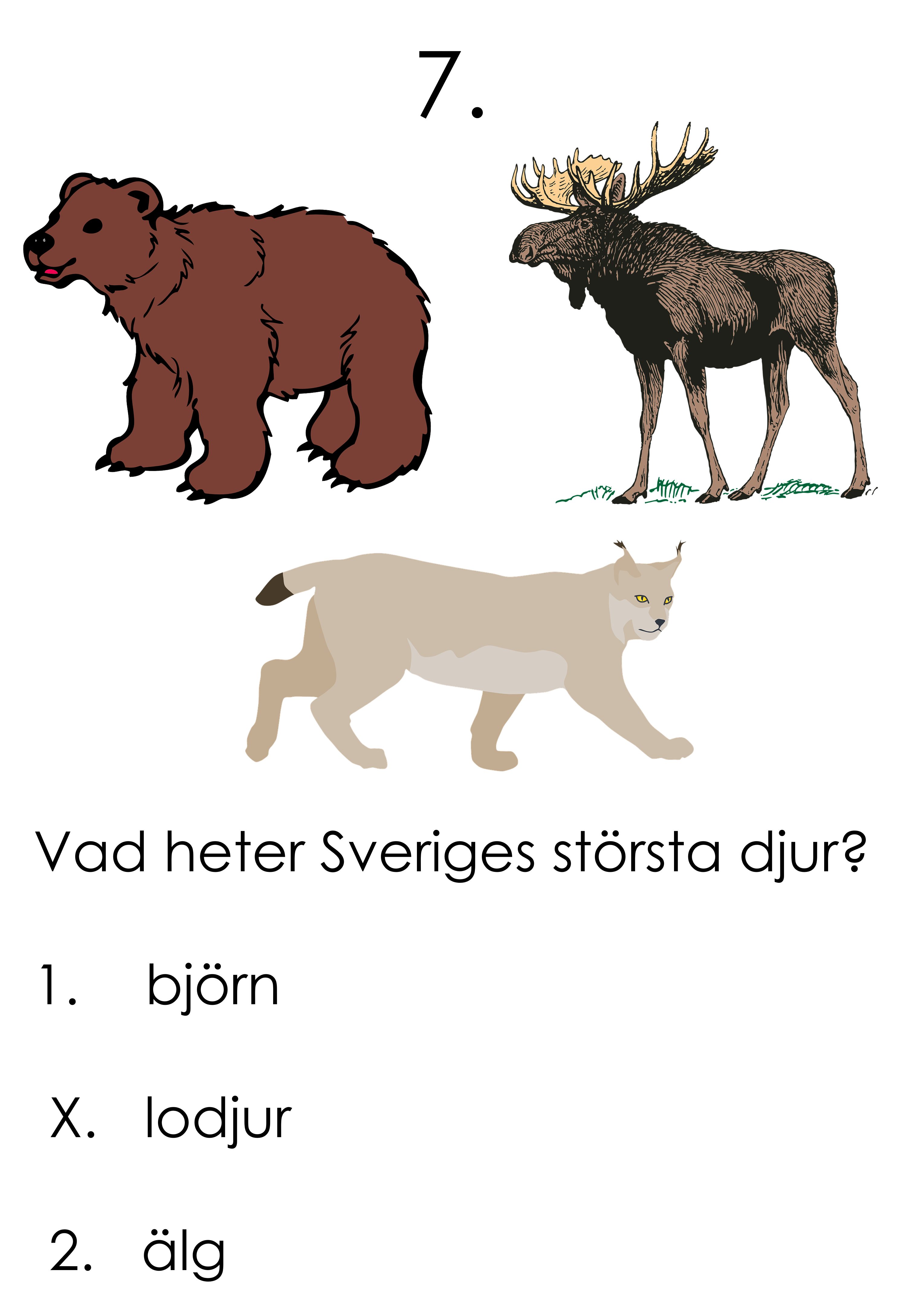 Tipspromenadsfrågor 2