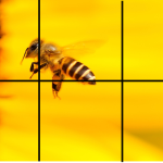 Pussel 6 bitar – sommar - bild 5