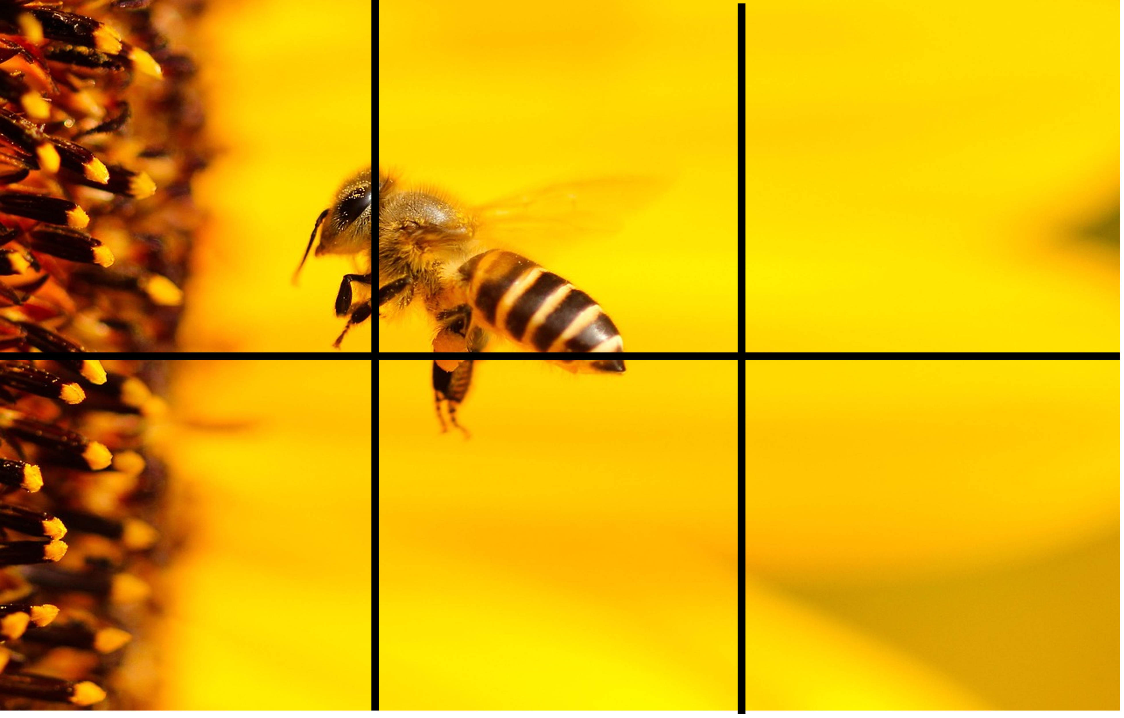 Pussel 6 bitar - sommar