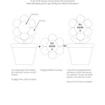 Mors dag Hemlig blomma - bild 2