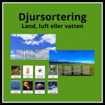 Djursortering – luft, land eller vatten - bild 1