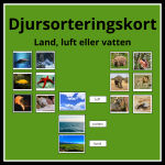 Djursortering kort – luft, land eller vatten - bild 1