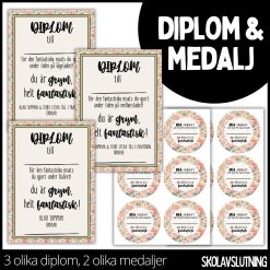 Diplom & medalj – 3 olika diplom / 2 olika medaljer - 7