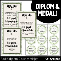 Diplom & medalj – 3 olika diplom / 2 olika medaljer - 5
