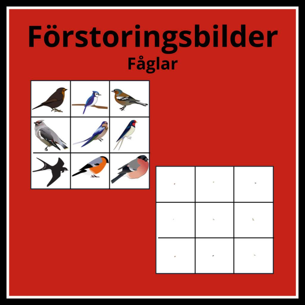 Förstoringsbilder fåglar