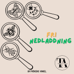 BILDuppgift: Förstoringsglad med insekter - bild 1