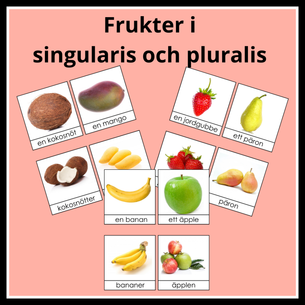 Frukter singularis och pluralis 3 dels kort