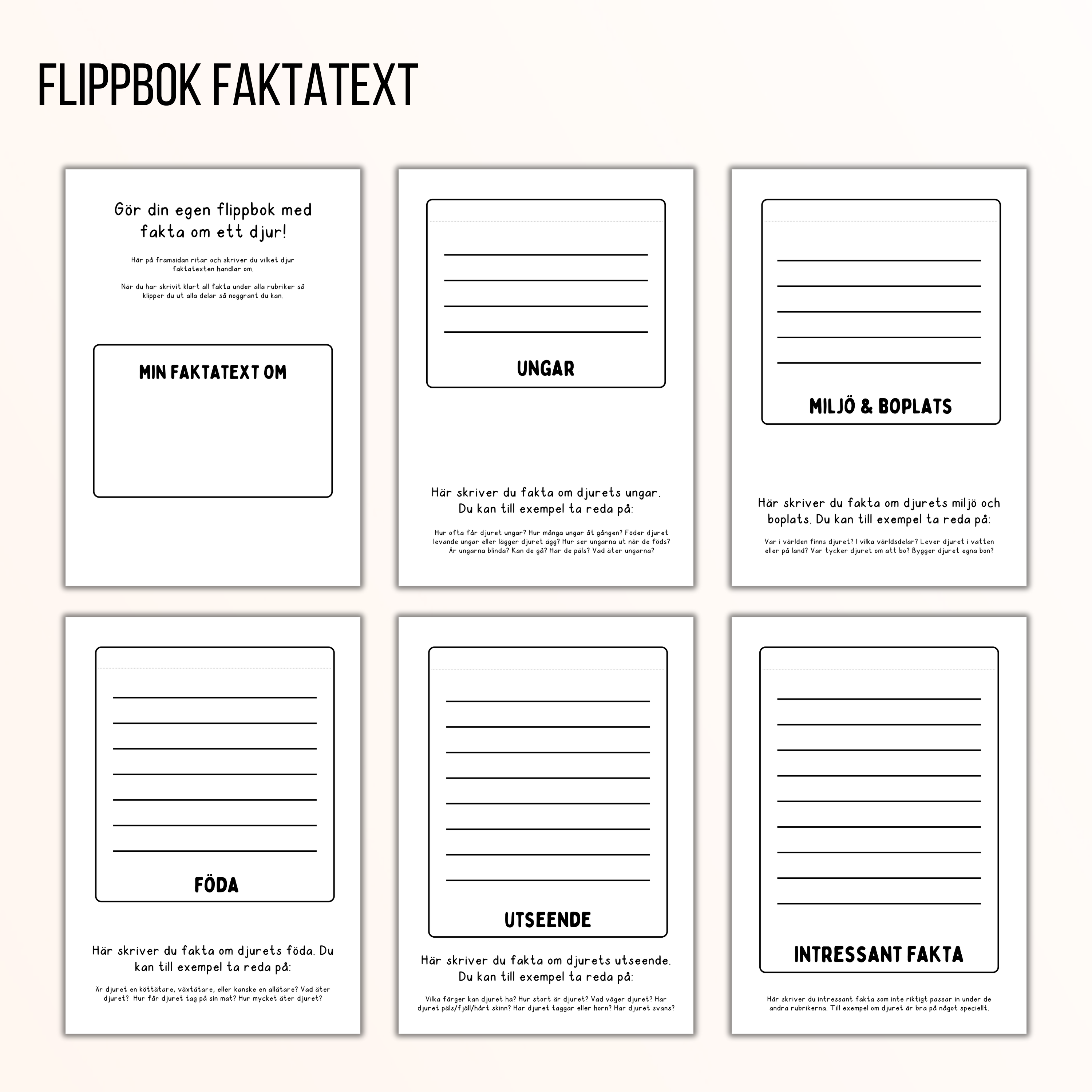 Flippbok - faktatext