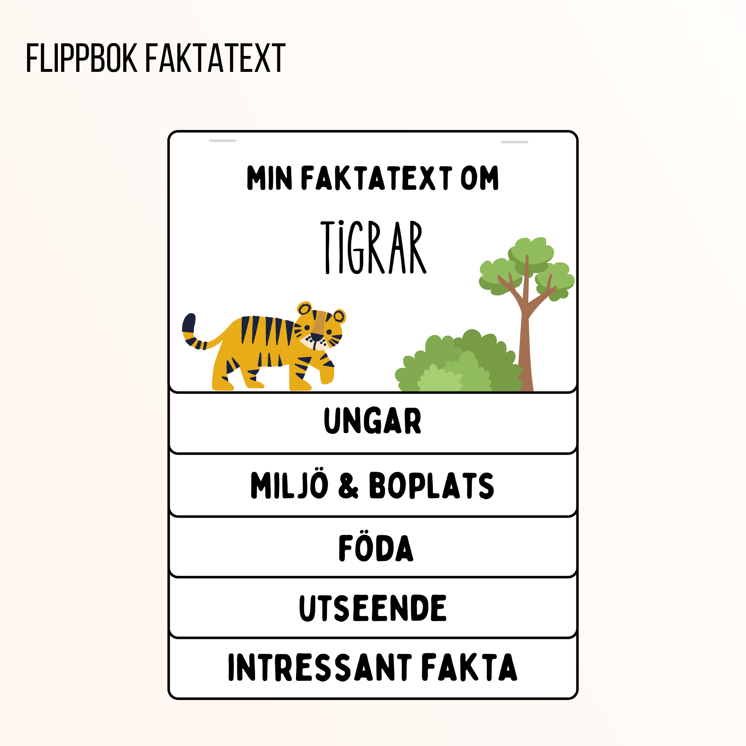 Flippbok - faktatext