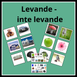 Sortera levande och inte levande - bild 1