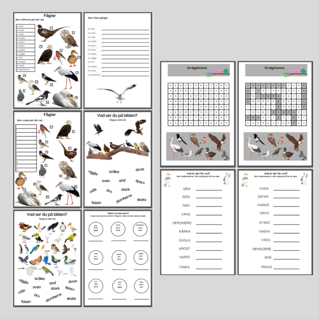 Ordbank. Fåglar