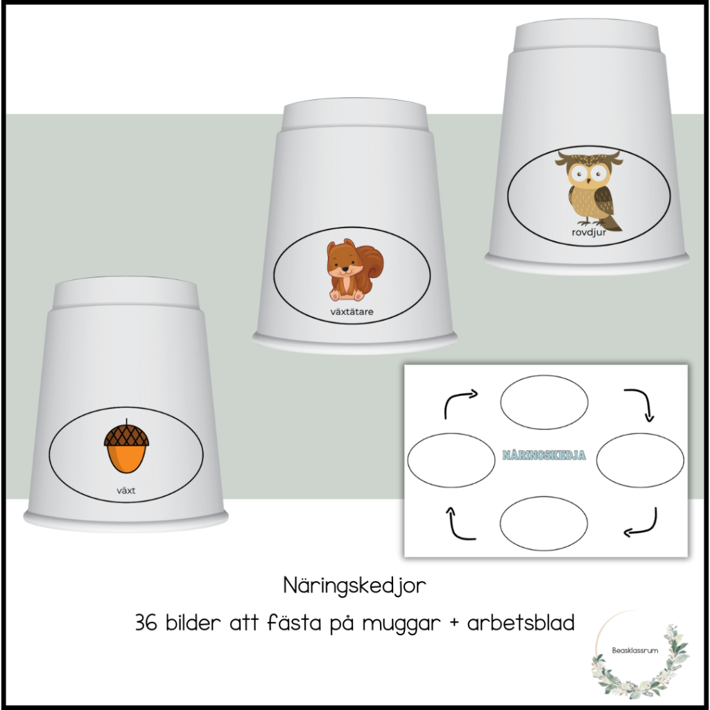 Näringskedjor – 36 bilder + arbetsblad