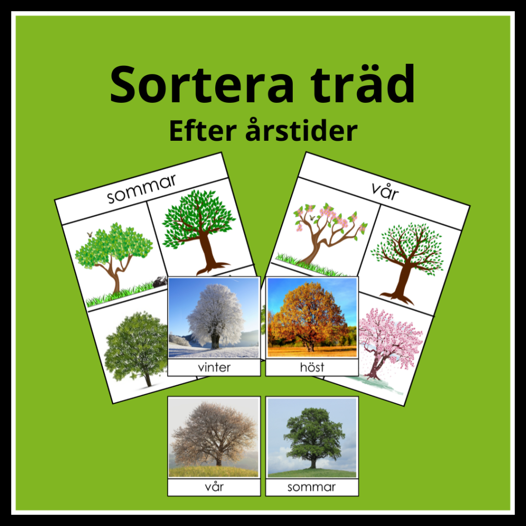 Sortera träd efter årstider