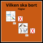 Vilken bild ska bort? fåglar - bild 1