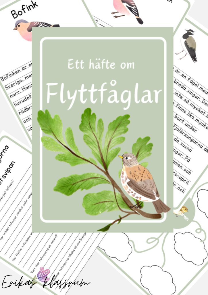 Arbetshäfte om flyttfåglar