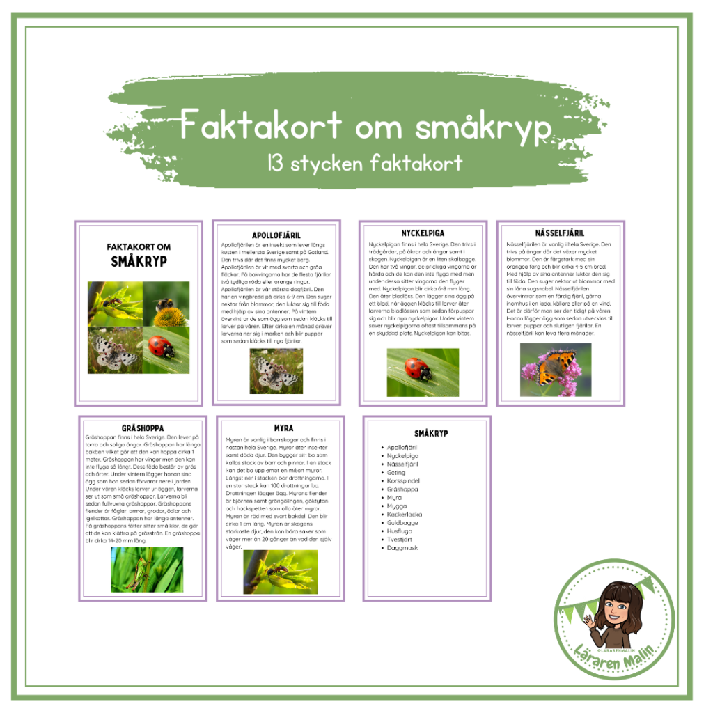 Faktakort småkryp