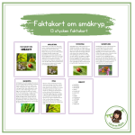 Faktakort småkryp - bild 1