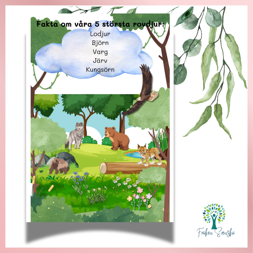 Sveriges 5 största rovdjur