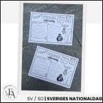 Sveriges nationaldag | Faktablad - bild 3