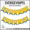 Sveriges nationaldag | Vimpel