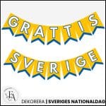 Sveriges nationaldag | Vimpel - bild 2