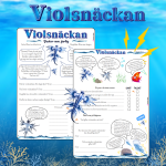 Violsnäckan – Vacker men farlig - bild 2