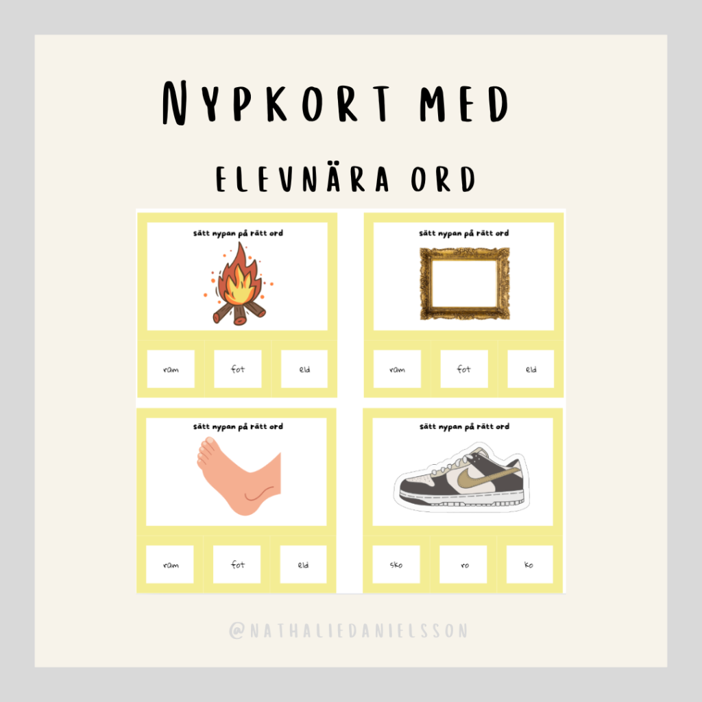 Nypkort med lästräning elevnära ord