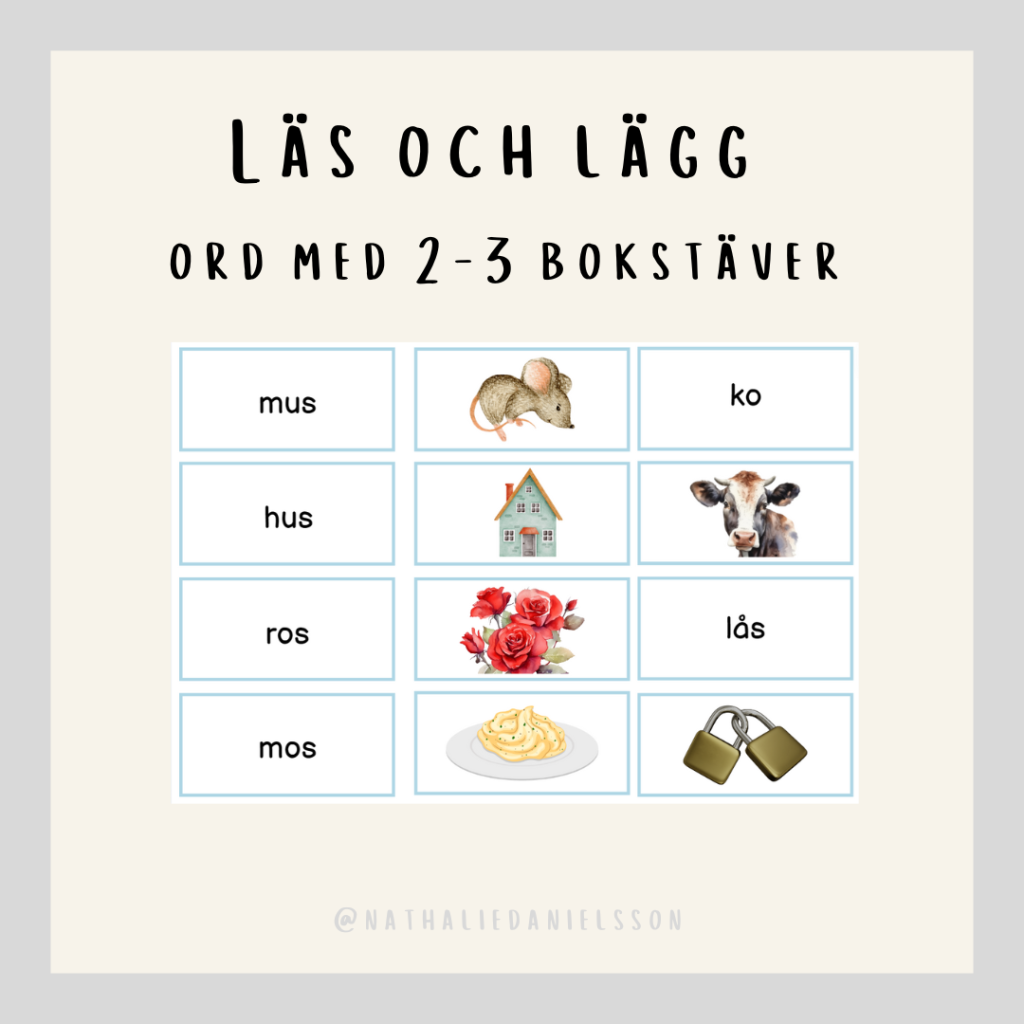 Läs och lägg ord med 2-3 bokstäver