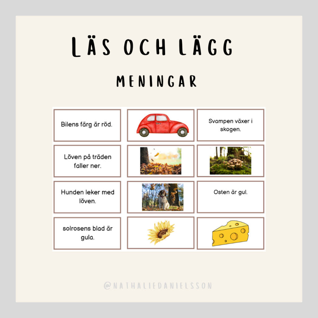 Läs och lägg – meningar