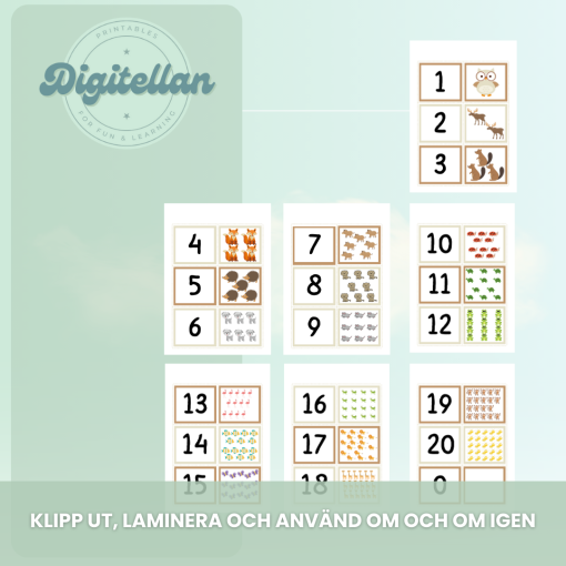 Kort - Räkna och para ihop Tema fordon och djur