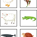 Memory djur - bild 6