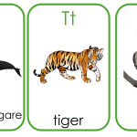 Flashcards alfabetsbilder djur - bild 4