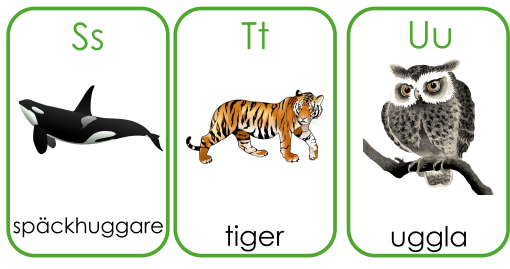 Flashcards alfabetsbilder djur