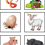 Memory djur - bild 2