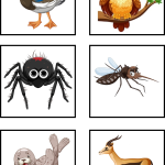 Memory djur - bild 5