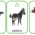 Flashcards alfabetsbilder djur - bild 6