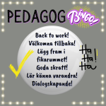 Pedagogbingo – back to work - bild 1