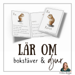 Lär om bokstäver och djur – X - bild 2