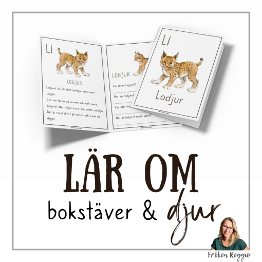 Lär om bokstäver och djur – L