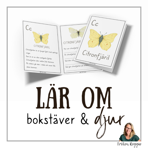 Lär om bokstäver och djur – C