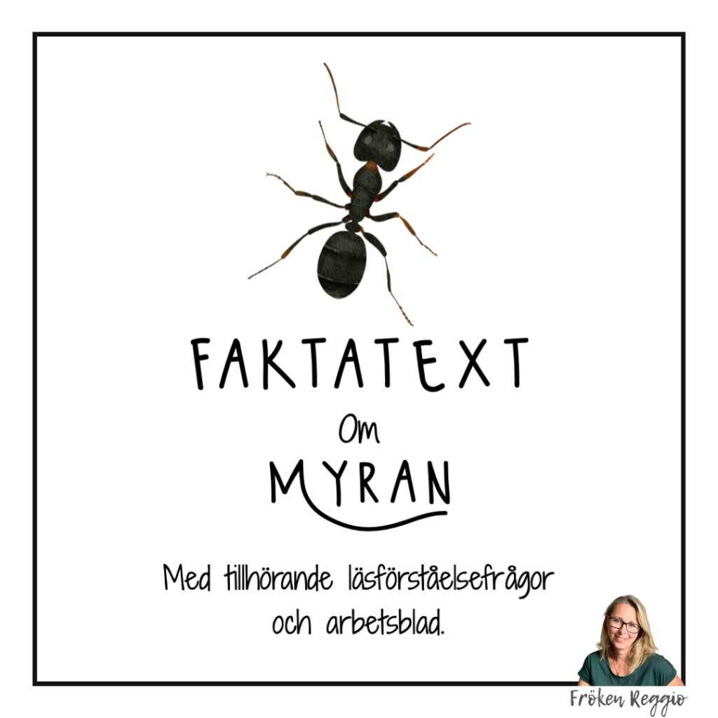 Faktatext om Myran